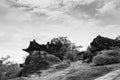 Rocky landscape under bright sky at Phu Pha Thoep national park, Mukdahan - Thailand. Black and white