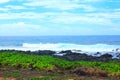 Rocky lava rock shore on Hawaii