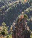 A rocky ledge in the mountains with a pine tree growing on it against the backdrop of the mountain hills of the Caucasus Royalty Free Stock Photo