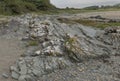 Rocky lichen covered jagged slate beach rocks Royalty Free Stock Photo