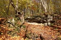 Rocky limestone outcrops in a bright autumn forest
