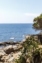 Rocky Mediterranean coast with cactus of Calella de Palafrugell, Costa Brava, Catalonia, Spain Royalty Free Stock Photo