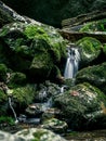 Rocky mossy miniature waterfall on a forest stream creek in Transylvania, Romania, Sighistelului valley gorge Royalty Free Stock Photo