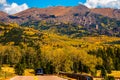 Rocky mountain aspen forests on Pike\'s Peak in Colorado