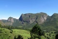 Rocky mountain in green forest