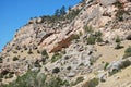 Rocky Mountain Landscape in the Bighorn Mountains, Wyoming Royalty Free Stock Photo