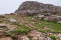 Rocky mountain landscape mt evans colorado