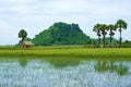 Rocky mountain, Mekong Delta, Vietnam Royalty Free Stock Photo