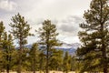 A majestic view of the Rocky Mountain National Park, Colorado, USA Royalty Free Stock Photo