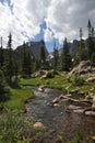 Rocky Mountain National Park stream Royalty Free Stock Photo