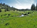 Rocky Mountain National Park Stream Royalty Free Stock Photo