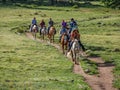 An equestrian trail ride Royalty Free Stock Photo
