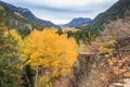 Rocky Mountain Park Aspens Royalty Free Stock Photo