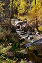 Rocky mountain river Royalty Free Stock Photo