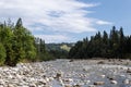 Rocky mountain river surrounded by trees