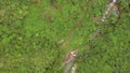 Rocky mountain rugged winding road replete with natural grown trees.