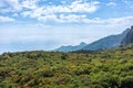 Rocky mountain on sea shore with high green trees on slope