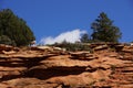 Rocky Mountain sheep against bright blue sky Royalty Free Stock Photo