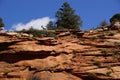 Rocky Mountain sheep against bright blue sky Royalty Free Stock Photo