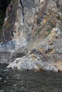 Rocky mountain shore texture of rocks close up