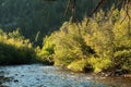 Rocky mountain stream Royalty Free Stock Photo