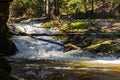 Rocky mountain stream and gum trees in background. Royalty Free Stock Photo