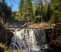 Rocky mountain stream and gum trees in background Royalty Free Stock Photo