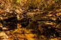 Rocky mountain stream under shade of trees Royalty Free Stock Photo