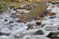 Rocky Mountain stream in the upper swansea valley, South Wales, Brecon Beacons Royalty Free Stock Photo