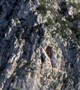 Rocky mountain top, sedimentary rocks, detail