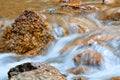 Rocky Mountains Stream Royalty Free Stock Photo
