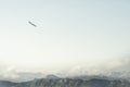 Rocky Mountains and flying eagle bird Landscape