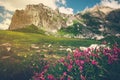 Rocky Mountains and green alpine valley with pink flowers Landscape Royalty Free Stock Photo