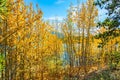 Rocky Mountains in the Indian summer Royalty Free Stock Photo