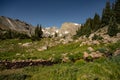 Rocky Mountains Loom Over Alpine Meadow near Lake Isabelle Royalty Free Stock Photo