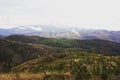 Rocky Mountains, Montana, post fire. Royalty Free Stock Photo