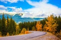 The Rocky Mountains. Orange aspens Royalty Free Stock Photo