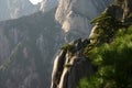 Rocky mountainside Royalty Free Stock Photo