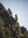 Rocky mountainside overgrown with vegetation, bushes and pines against a cloudless sky Royalty Free Stock Photo