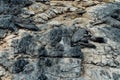 Rocky mountainside. Texture Royalty Free Stock Photo