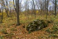 Rocky nature in the autumn forest. Selective focus. Natural background with copy space for text