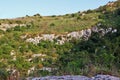 Rocky necropolis of Pantalica in Sicily Royalty Free Stock Photo