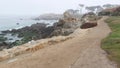 Rocky ocean beach, sea waves in foggy misty weather, Monterey, California coast. Royalty Free Stock Photo