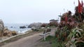 Rocky ocean beach, sea waves in foggy misty weather, Monterey, California coast. Royalty Free Stock Photo