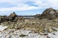 Rocky ocean coast in Brittany, France at low tide Royalty Free Stock Photo