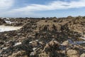 Rocky ocean coast in Brittany, France at low tide Royalty Free Stock Photo