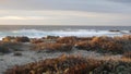 Rocky ocean coast, dramatic sea waves, Monterey beach, California, birds flying. Royalty Free Stock Photo