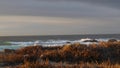 Rocky ocean coast, dramatic sea waves, Monterey beach, California, birds flying. Royalty Free Stock Photo