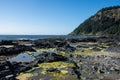 Rocky ocean shoreline during low tide at the Scenic Cape Perpetua OR Royalty Free Stock Photo