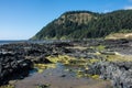 Rocky ocean shoreline during low tide at the Scenic Cape Perpetua Royalty Free Stock Photo